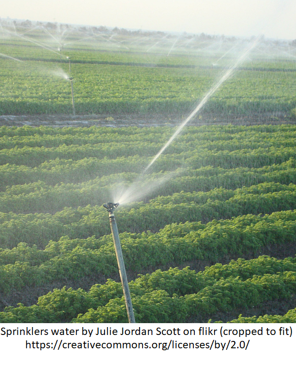 Sprinkler irrigation