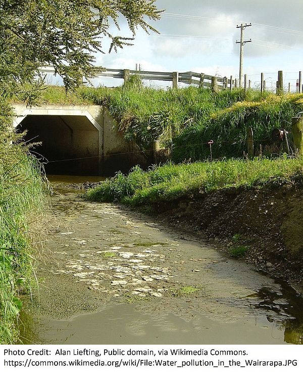 Water_pollution_in_the_Wairarapa